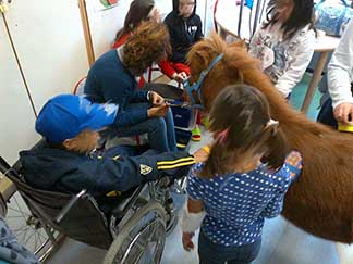 Progetto Filippo, un cavallo per amico